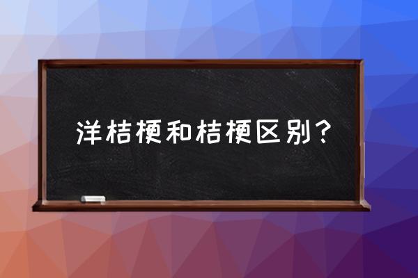 洋桔梗和桔梗的区别 洋桔梗和桔梗区别？