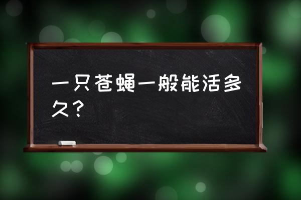 一只苍蝇能活多久 一只苍蝇一般能活多久？