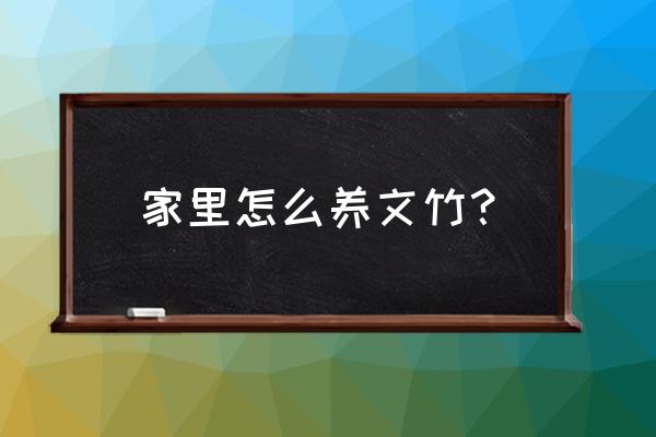 文竹的家庭养殖方法 家里怎么养文竹？