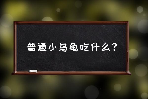 普通小乌龟吃什么食物 普通小乌龟吃什么？