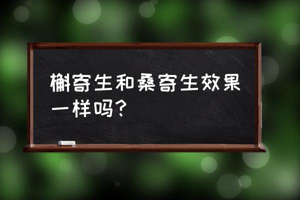 槲寄生的功效与作用及用量 槲寄生和桑寄生效果一样吗？