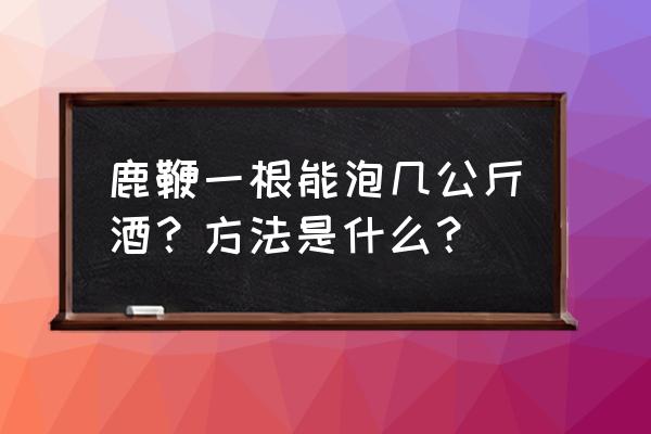 鹿鞭泡酒的方法 鹿鞭一根能泡几公斤酒？方法是什么？