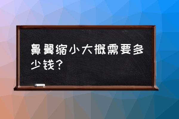 鼻翼缩小要多少钱啊 鼻翼缩小大概需要多少钱？