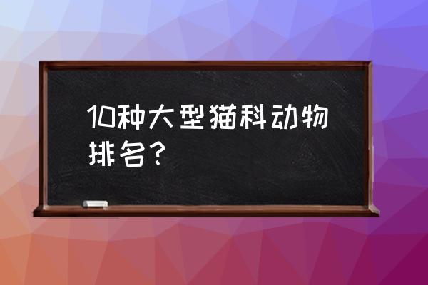 猫科猛兽体型排名 10种大型猫科动物排名？