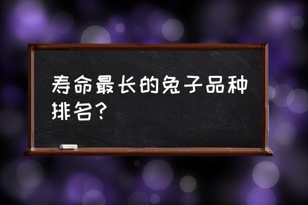 小型宠物兔子品种 寿命最长的兔子品种排名？