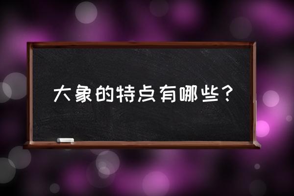 大象有趣的特点 大象的特点有哪些？