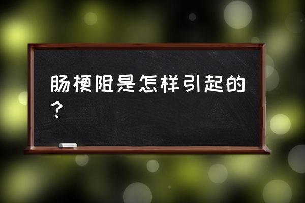 肠梗阻的诱因是什么 肠梗阻是怎样引起的？