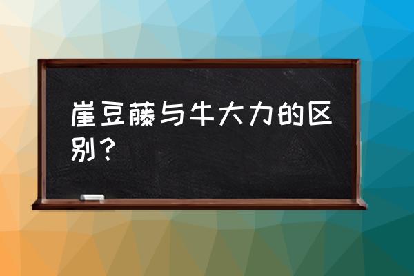 厚果崖豆藤多少钱一斤 崖豆藤与牛大力的区别？