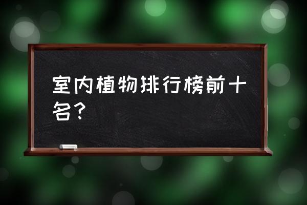 室内植物推荐 室内植物排行榜前十名？