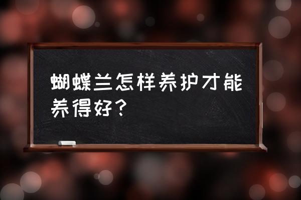 养蝴蝶兰的最佳方法 蝴蝶兰怎样养护才能养得好？