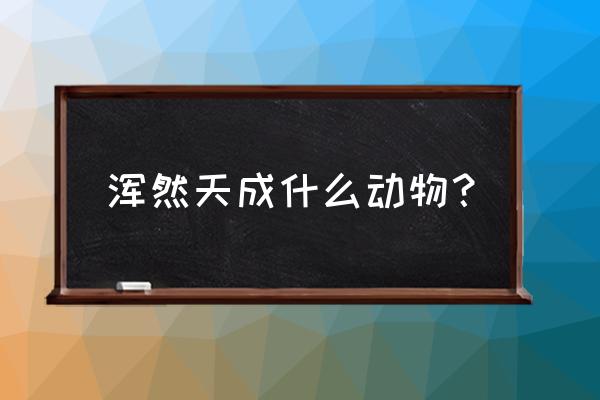 浑然天成打一事物 浑然天成什么动物？