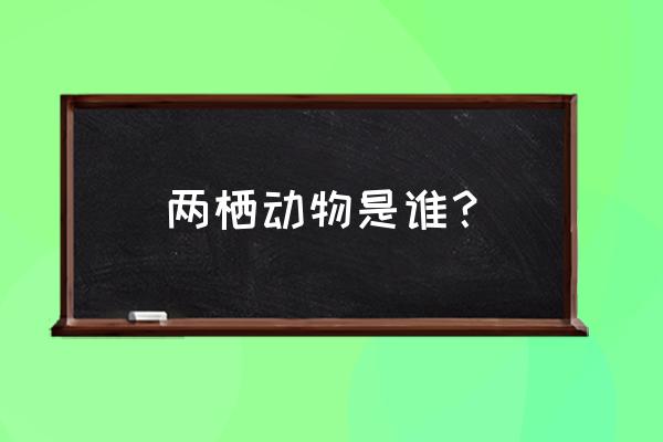 两栖动物的代表 两栖动物是谁？