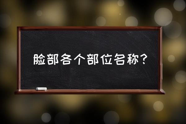 面部轮廓部位 脸部各个部位名称？