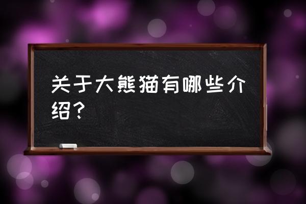 介绍一种动物熊猫 关于大熊猫有哪些介绍？