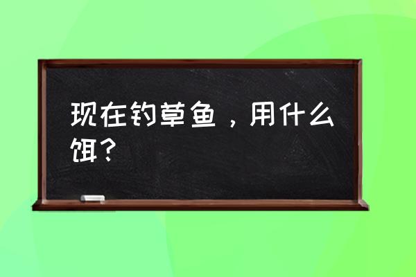 野钓草鱼饵料 现在钓草鱼，用什么饵？