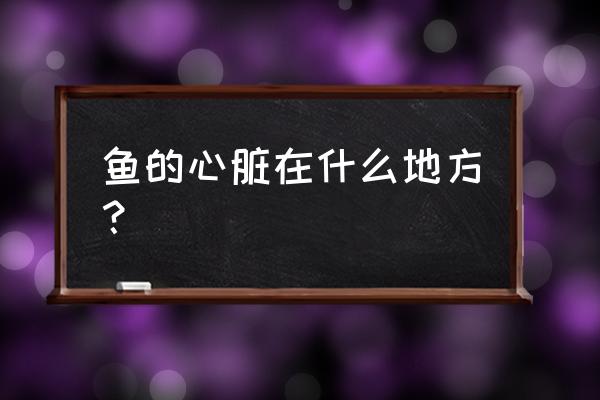 鱼的心脏是在哪个位置呀 鱼的心脏在什么地方？