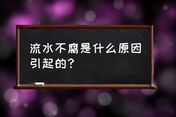 流水不腐的原因 流水不腐是什么原因引起的？