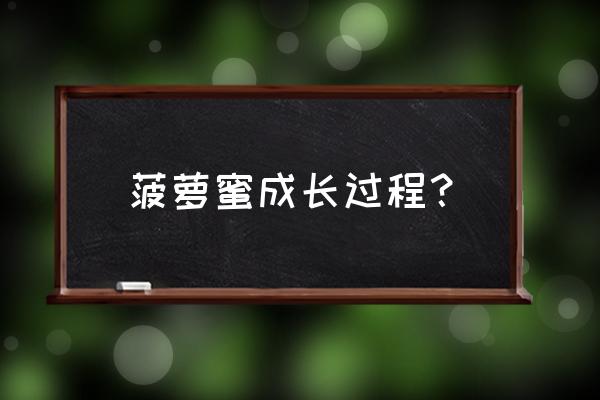 菠萝蜜怎么长的 菠萝蜜成长过程？