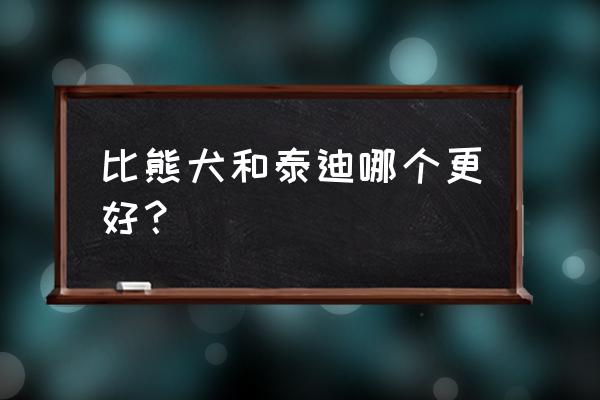 泰迪和比熊哪个更好 比熊犬和泰迪哪个更好？