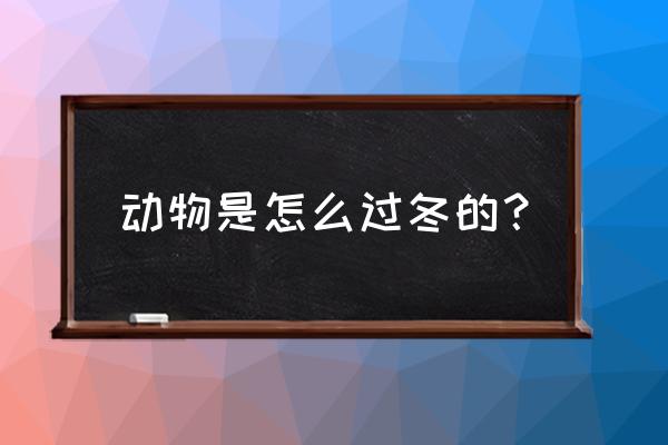 动物都是怎么过冬的 动物是怎么过冬的？