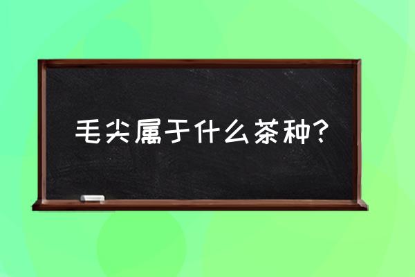 毛尖是绿茶吗 毛尖属于什么茶种？