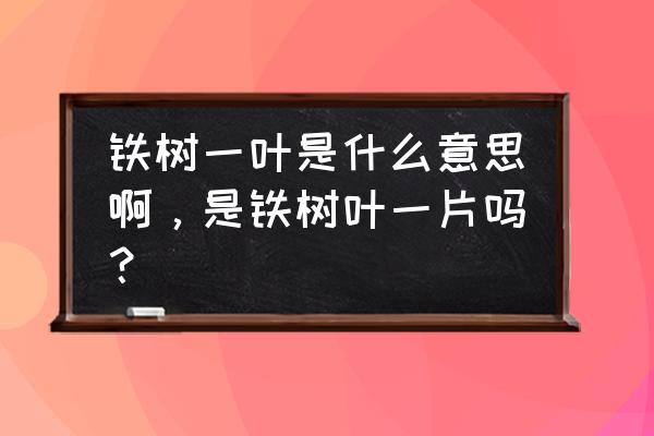 铁树一叶别名叫什么 铁树一叶是什么意思啊，是铁树叶一片吗？