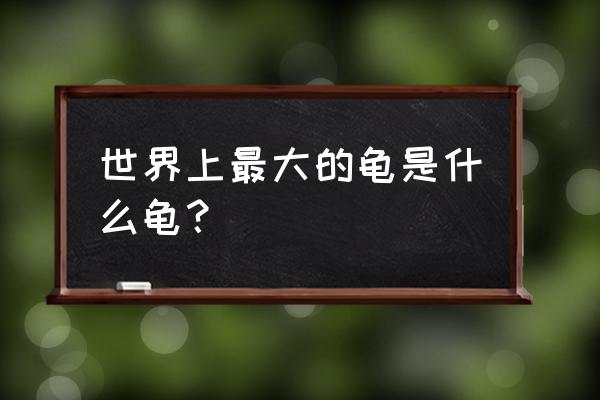 世界上最大的龟是什么龟 世界上最大的龟是什么龟？