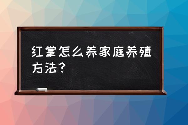 红掌的家庭养殖方法 红掌怎么养家庭养殖方法？