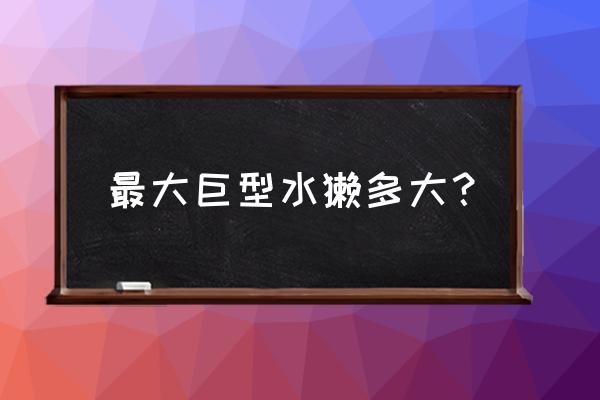 巨型水獭有多大 最大巨型水獭多大？