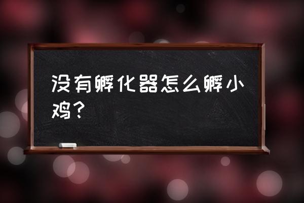 无壳孵化小鸡的方法 没有孵化器怎么孵小鸡？