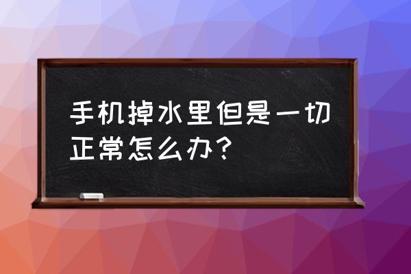 手机掉水里但能正常用 手机掉水里但是一切正常怎么办？