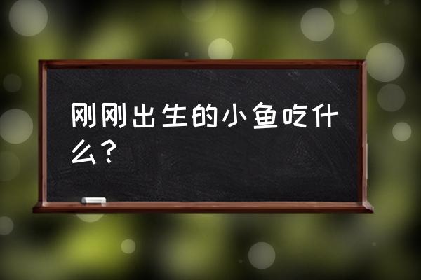 刚出生的小鱼喂什么吃 刚刚出生的小鱼吃什么？