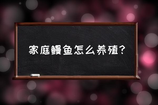 活的鳗鱼在家怎样养 家庭鳗鱼怎么养殖？