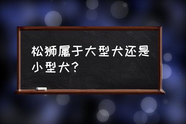 松狮小型犬 松狮属于大型犬还是小型犬？