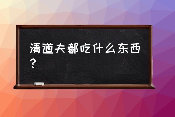 清道夫吃什么食物 清道夫都吃什么东西？