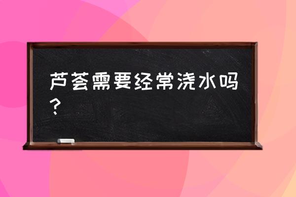 芦荟要经常浇水吗 芦荟需要经常浇水吗？