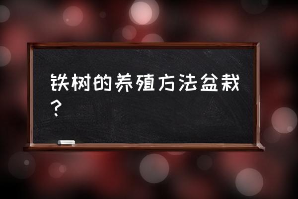 铁树的养殖方法9大要素 铁树的养殖方法盆栽？