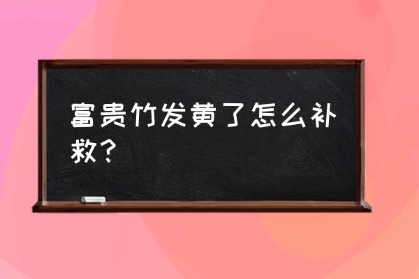 富贵竹发黄有什么办法 富贵竹发黄了怎么补救？