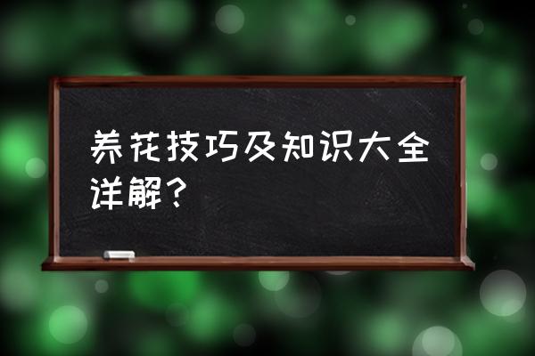 养花最基本的常识大全 养花技巧及知识大全详解？