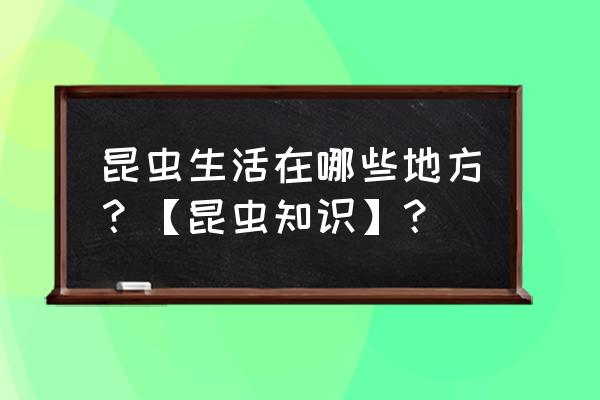 昆虫的基本知识 昆虫生活在哪些地方？【昆虫知识】？