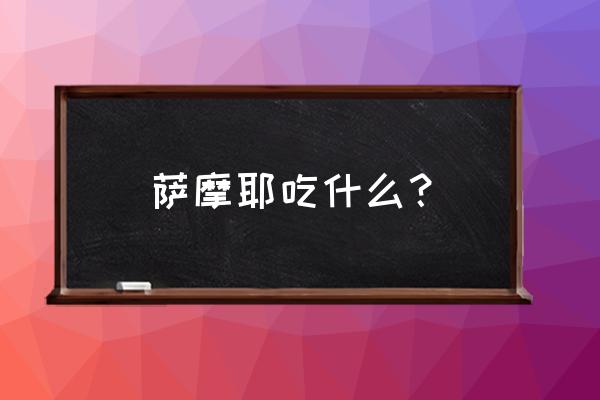 萨摩耶主要吃什么 萨摩耶吃什么？