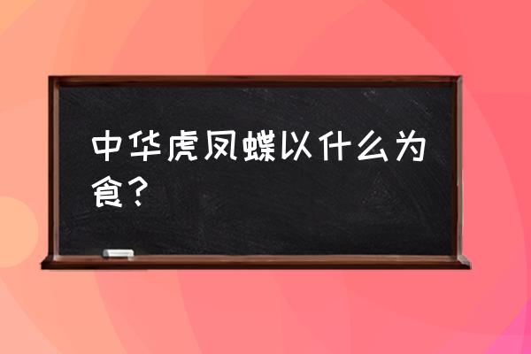 中华虎凤蝶简介 中华虎凤蝶以什么为食？