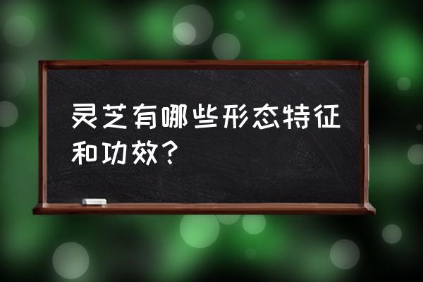 灵芝有什么功效 灵芝有哪些形态特征和功效？