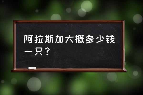 阿拉斯加雪橇犬200钱 阿拉斯加大概多少钱一只？