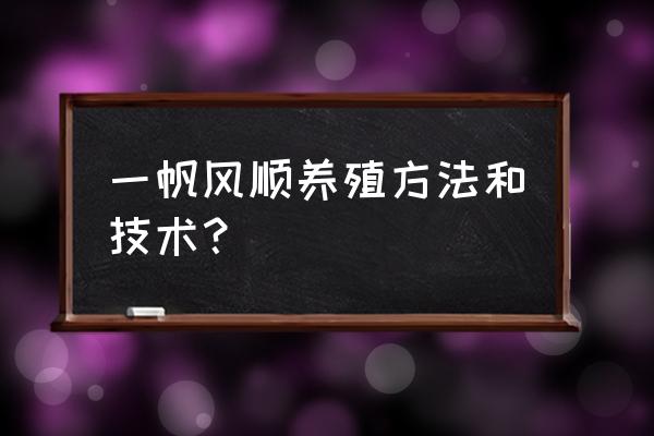 一帆风顺的养殖方法 一帆风顺养殖方法和技术？