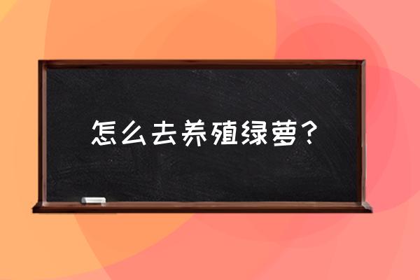 如何养绿萝的养殖方法 怎么去养殖绿萝？