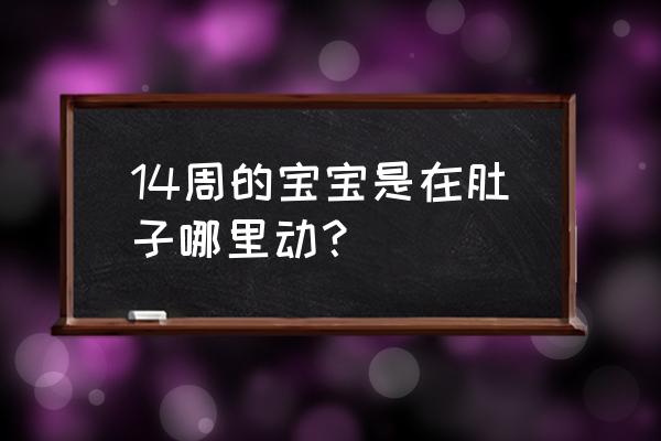 怀孕14周最明显的征兆 14周的宝宝是在肚子哪里动？