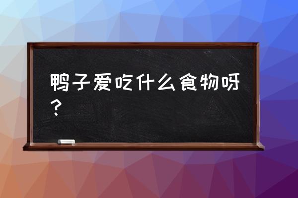 鸭子喂什么吃好 鸭子爱吃什么食物呀？