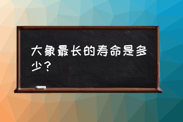 大象的寿命最长多少年 大象最长的寿命是多少？