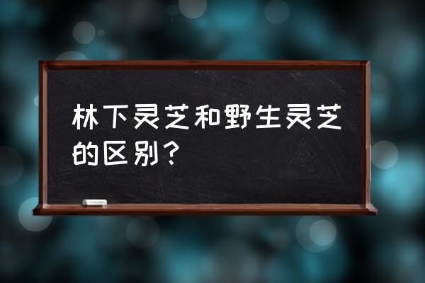 林下灵芝和野生灵芝的功效 林下灵芝和野生灵芝的区别？